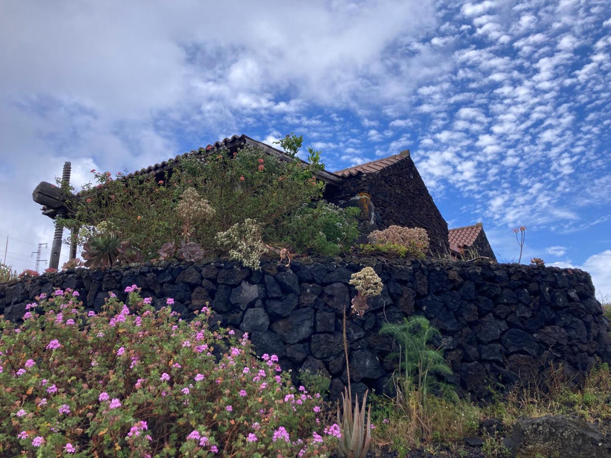 La Casa Del Volcan Las Indias Ngoại thất bức ảnh